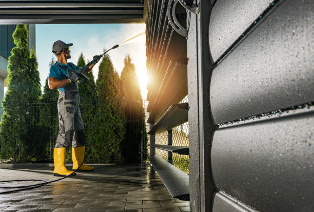 Best Building Exterior Washing  in Montpelier, IN