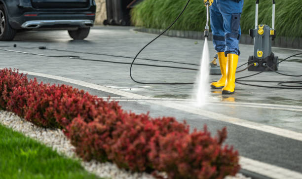 Best Roof Washing  in Montpelier, IN